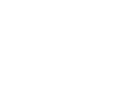 XPEL